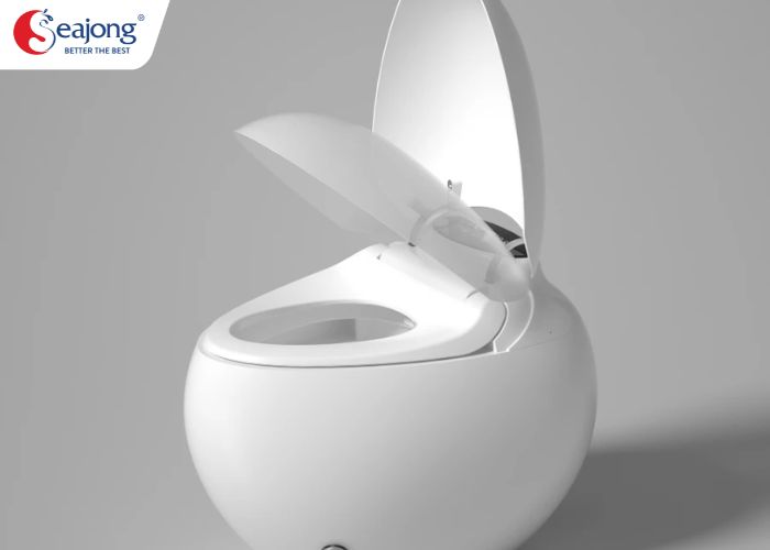 uu-nhuoc-diem-cua-bon-cau-trung-4