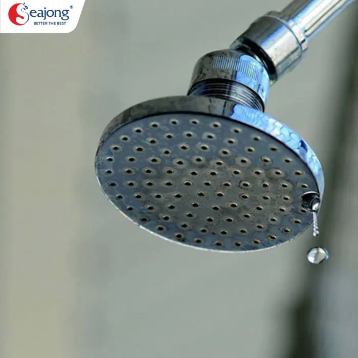 voi-sen-cua-bon-tam-bi-ro-ri-nuoc