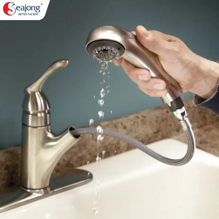 voi-sen-cua-bon-tam-bi-ro-ri-nuoc