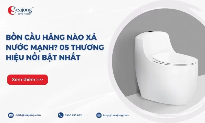 bon-cau-hang-nao-xa-nuoc-manh-1