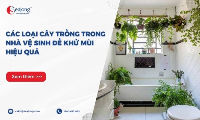 cay-trong-trong-nha-ve-sinh-de-khu-mui-1