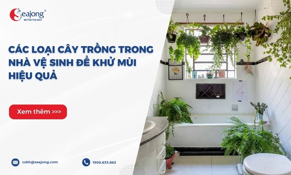 cay-trong-trong-nha-ve-sinh-de-khu-mui-1