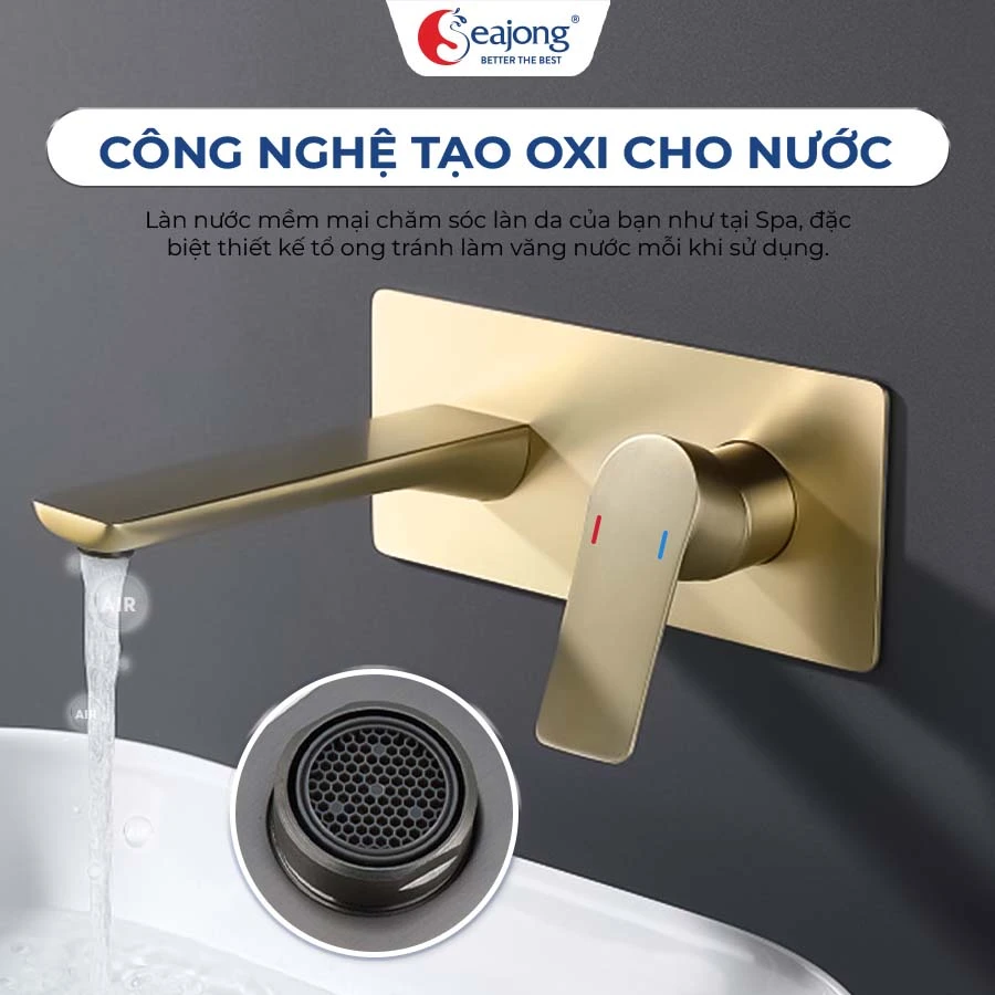 voi-lavabo-am-tuong-sj-vl0904-gd