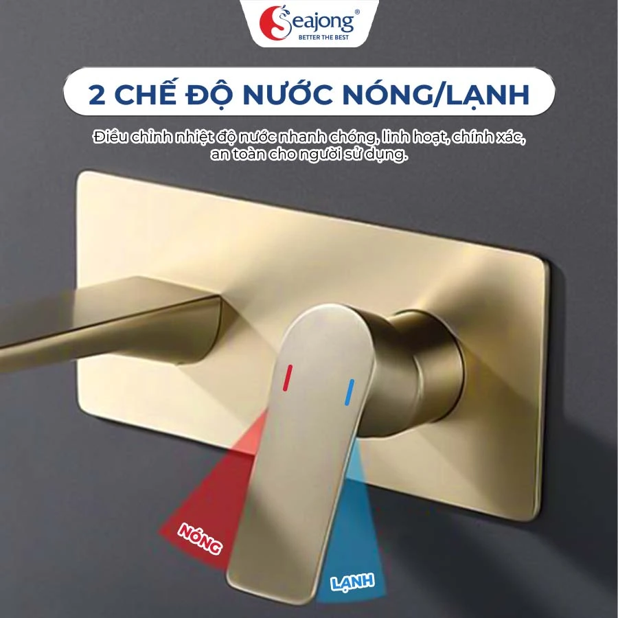 voi-lavabo-am-tuong-sj-vl0904-gd